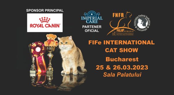 FIFe-international-cat-show