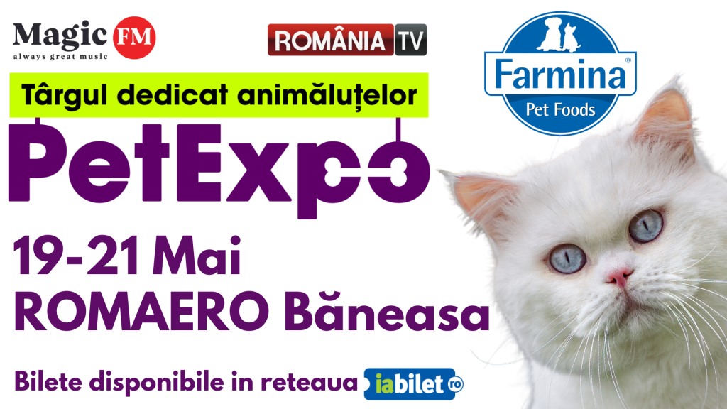 pet-expo